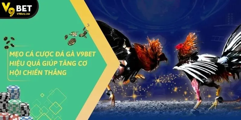 Đá Gà v9bet